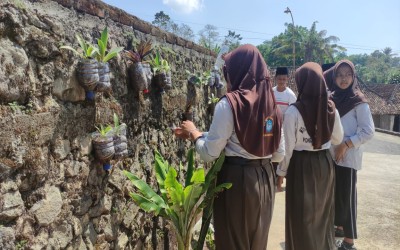 Kreativitas Tanpa Batas Mengubah Botol Bekas Jadi Media Tanam Bernilai